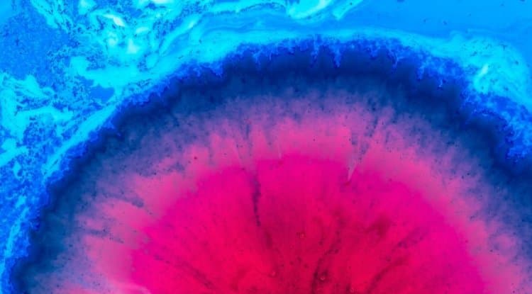 Data Science in Action: Real-World Applications