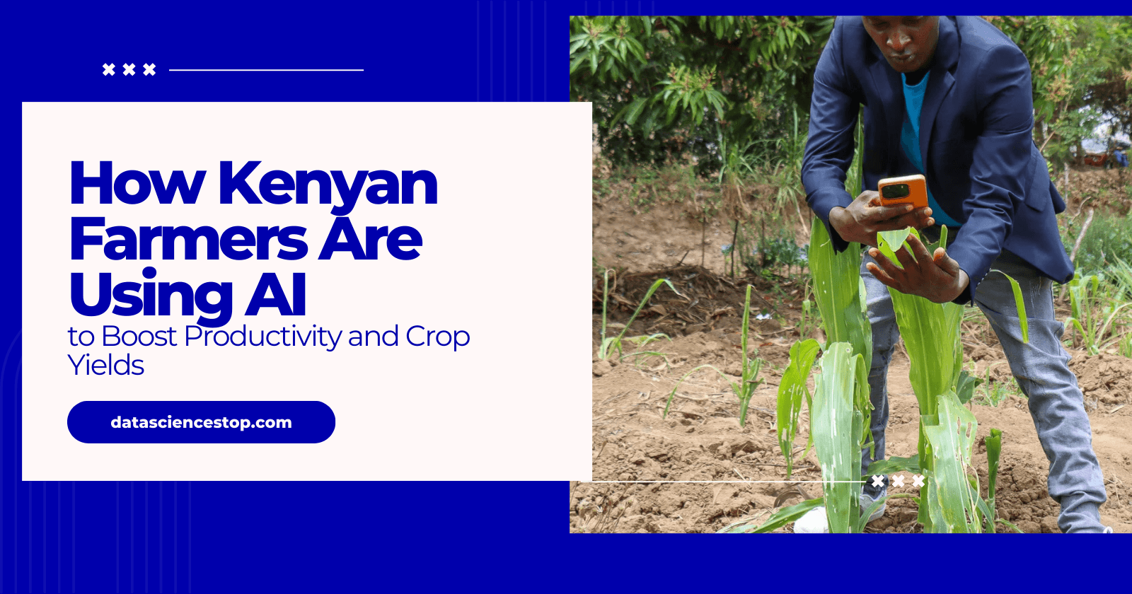 How Kenyan Farmers Are Using AI to Boost Productivity and Crop Yields