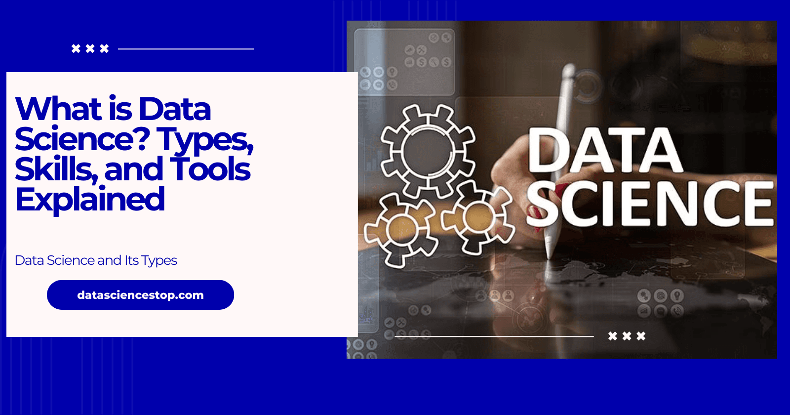 A Guide to Data Science: Key Types, Skills, and Tools